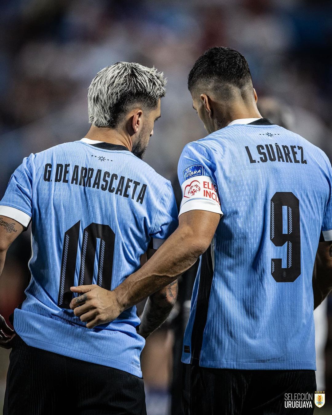 比利时鏖战葡萄牙，苏亚雷斯惊艳四座