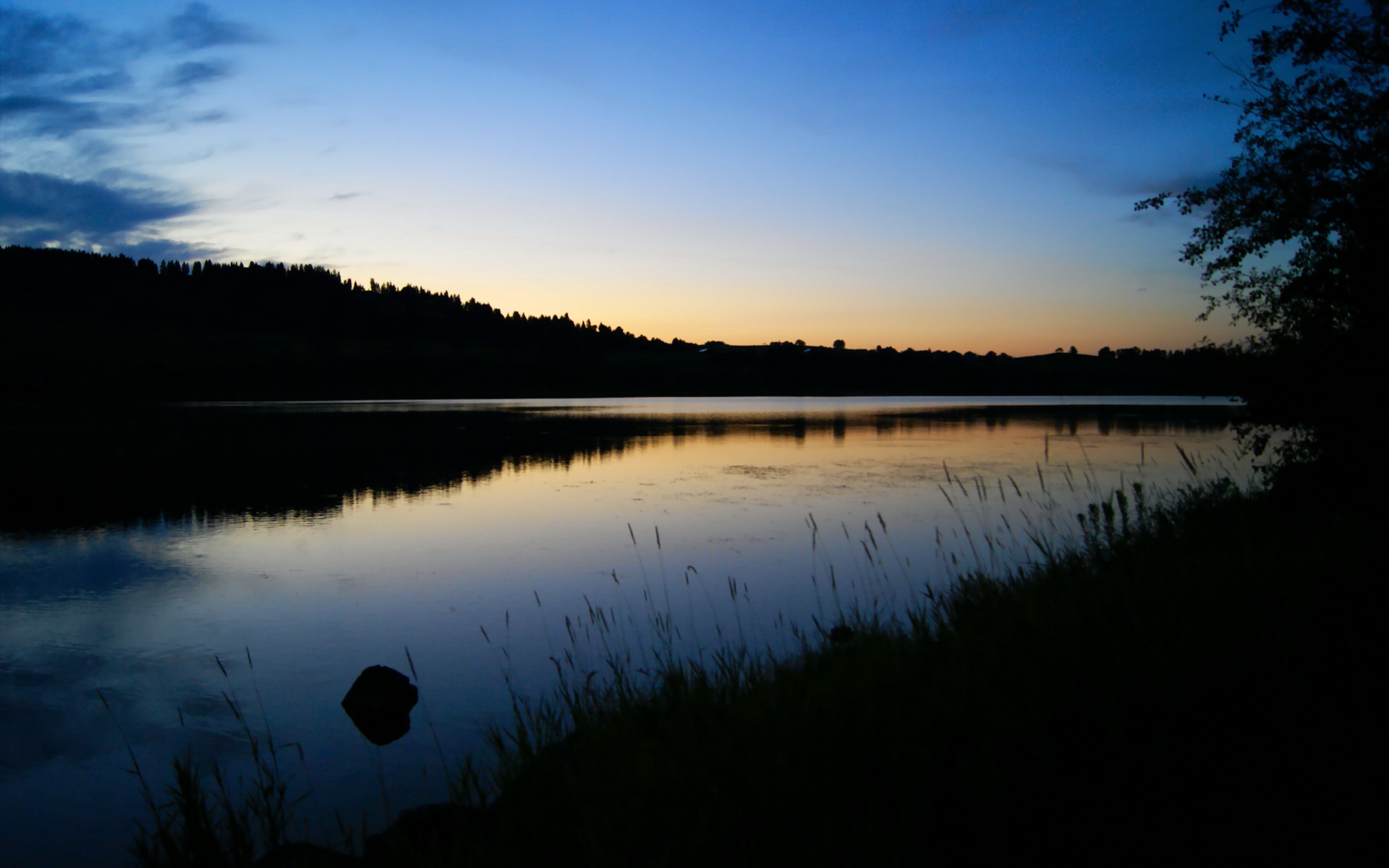 伊萨克爆发点燃雷恩争冠雄心，法甲黑马战胜勒沃库森启示录