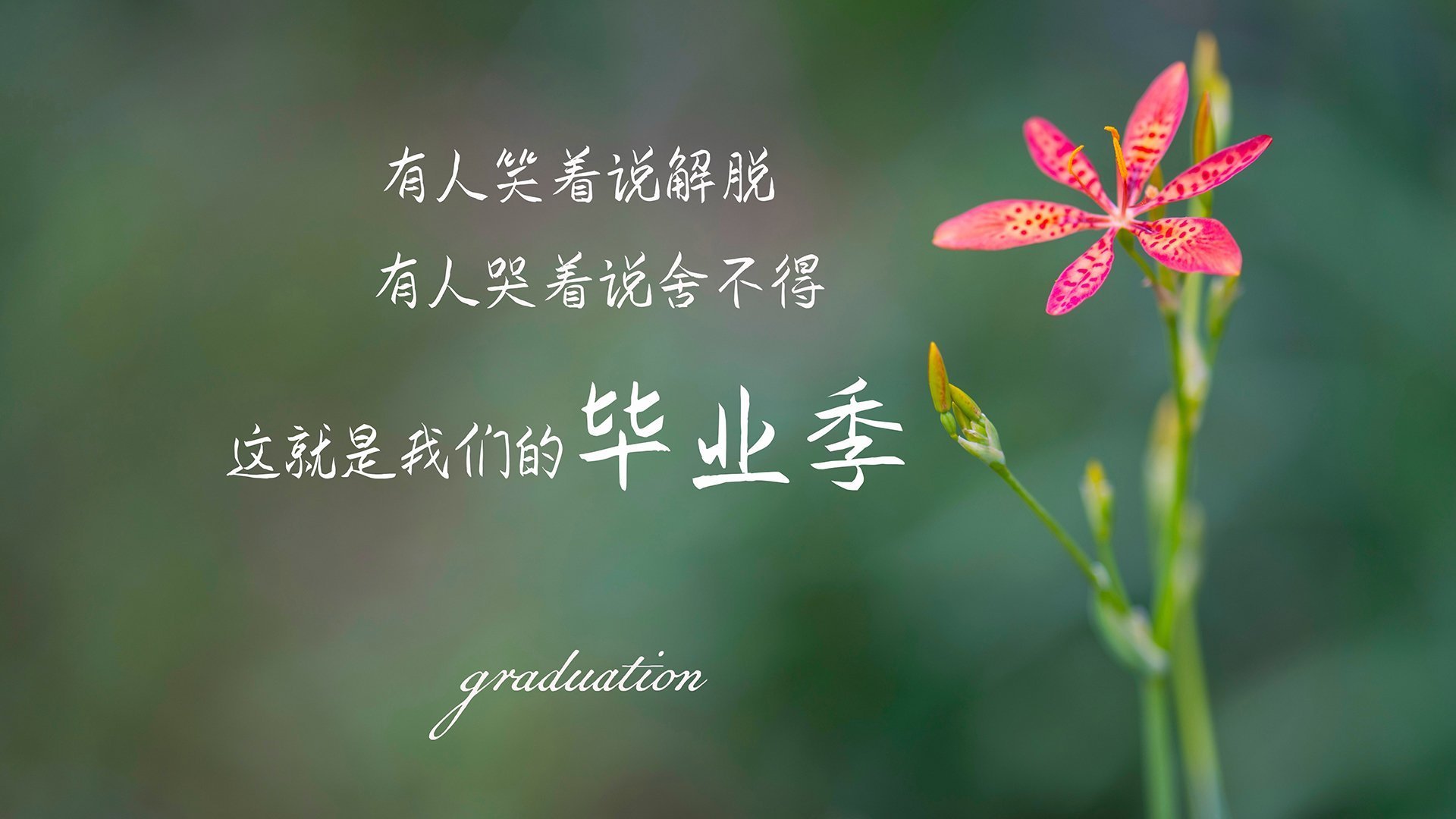 牙买加飞人踏平瑞典防线，一场改写足球地理的抢七焦点战