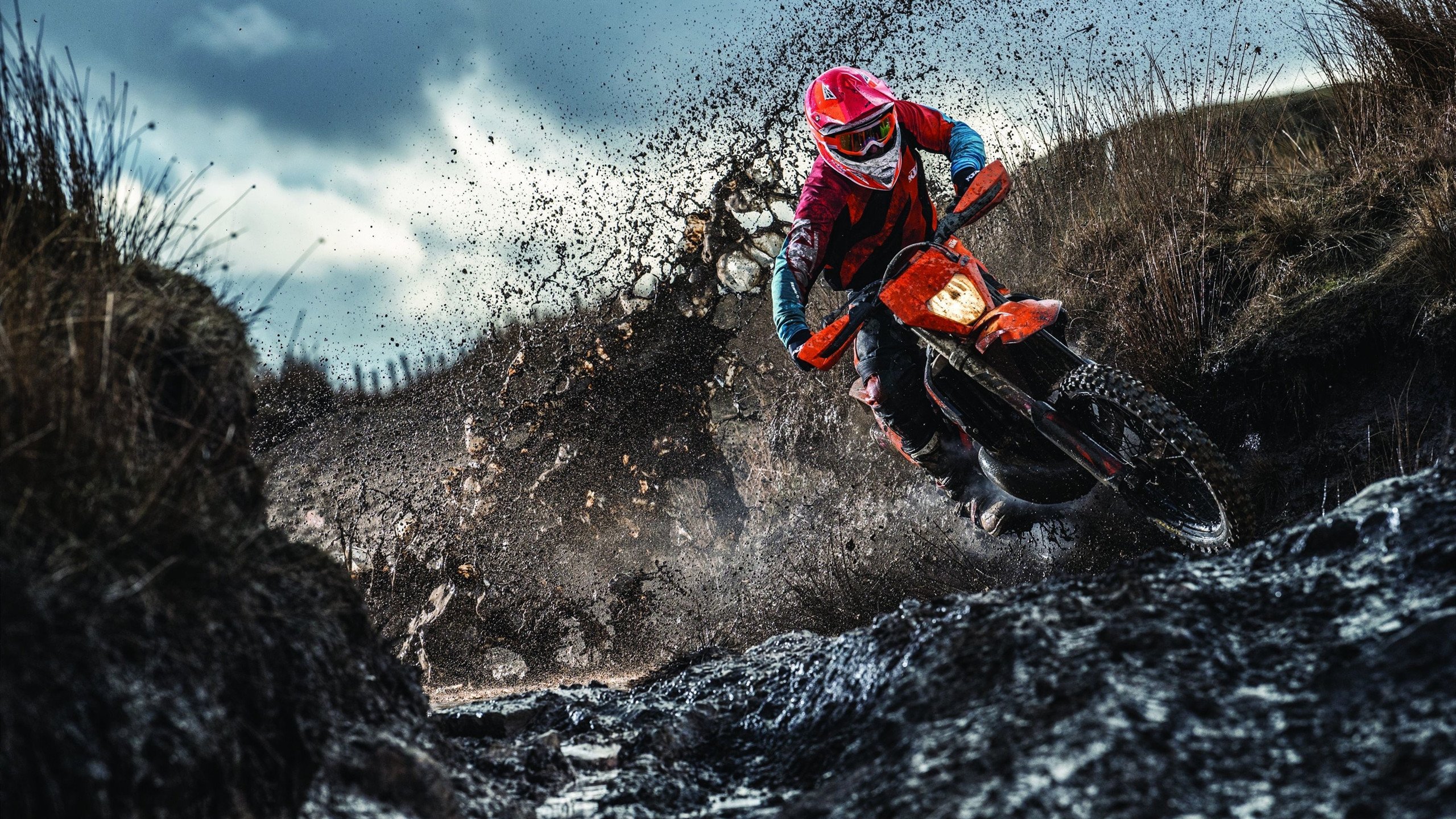 这是一个非常具有张力和想象空间的命题。将篮球巨星詹姆斯·哈登与魔术、老鹰以及欧冠这些元素结合，需要创造一个超现实的叙事框架